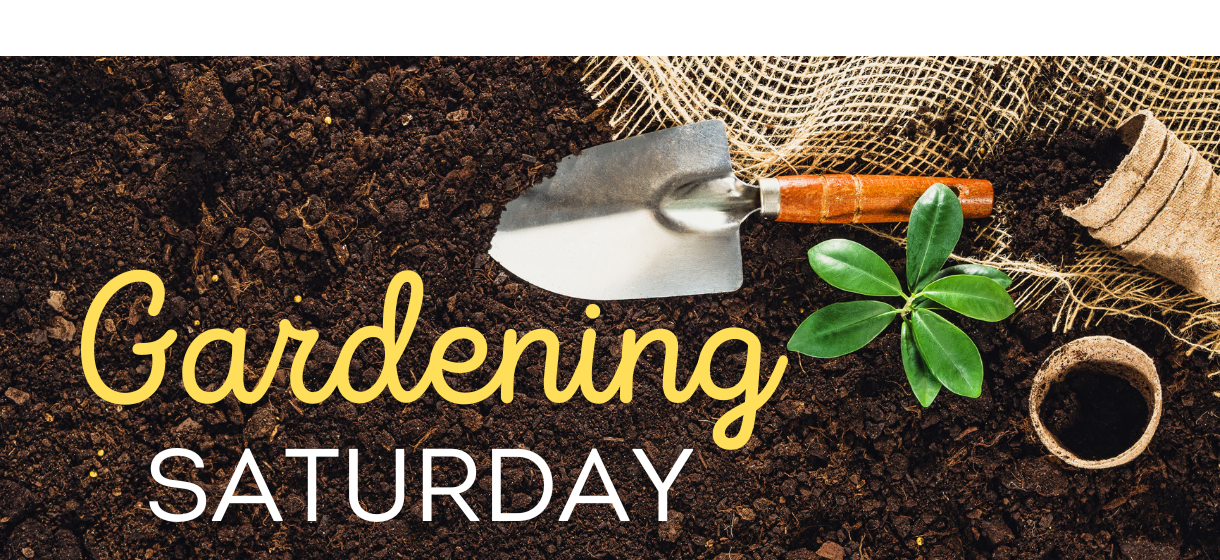 Gardening Saturday 2025